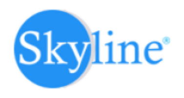 Skylines Tour and Travels